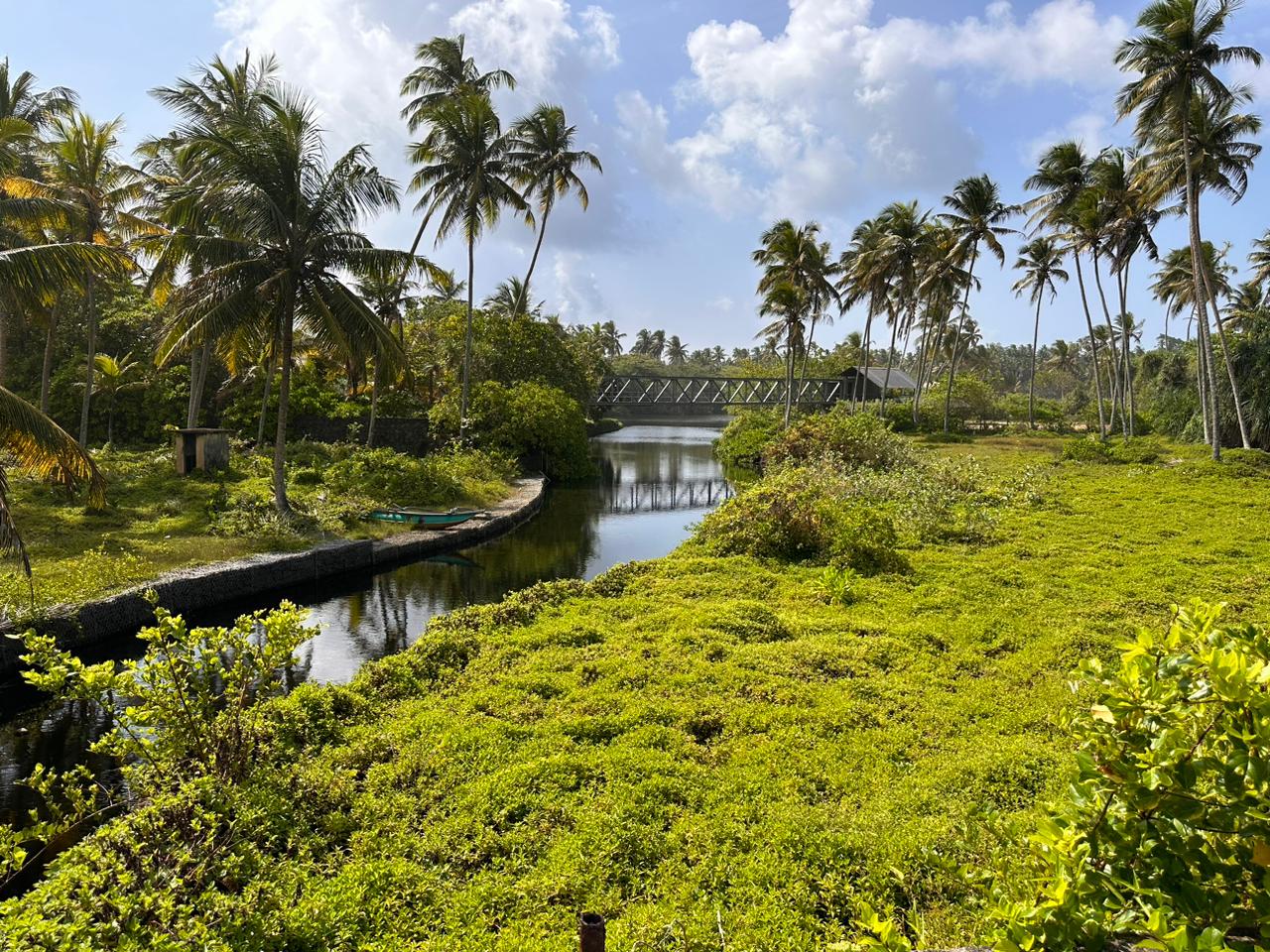 Beachfront Land for sale in Kosgoda — image 1