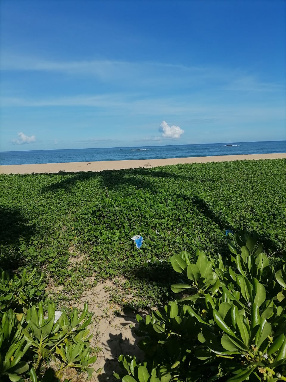 20 Perch Beach Land | Balapitiya — image 1