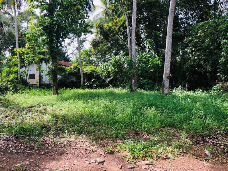 10 Perch Safe & Peaceful Land in Bandaragama — image 1